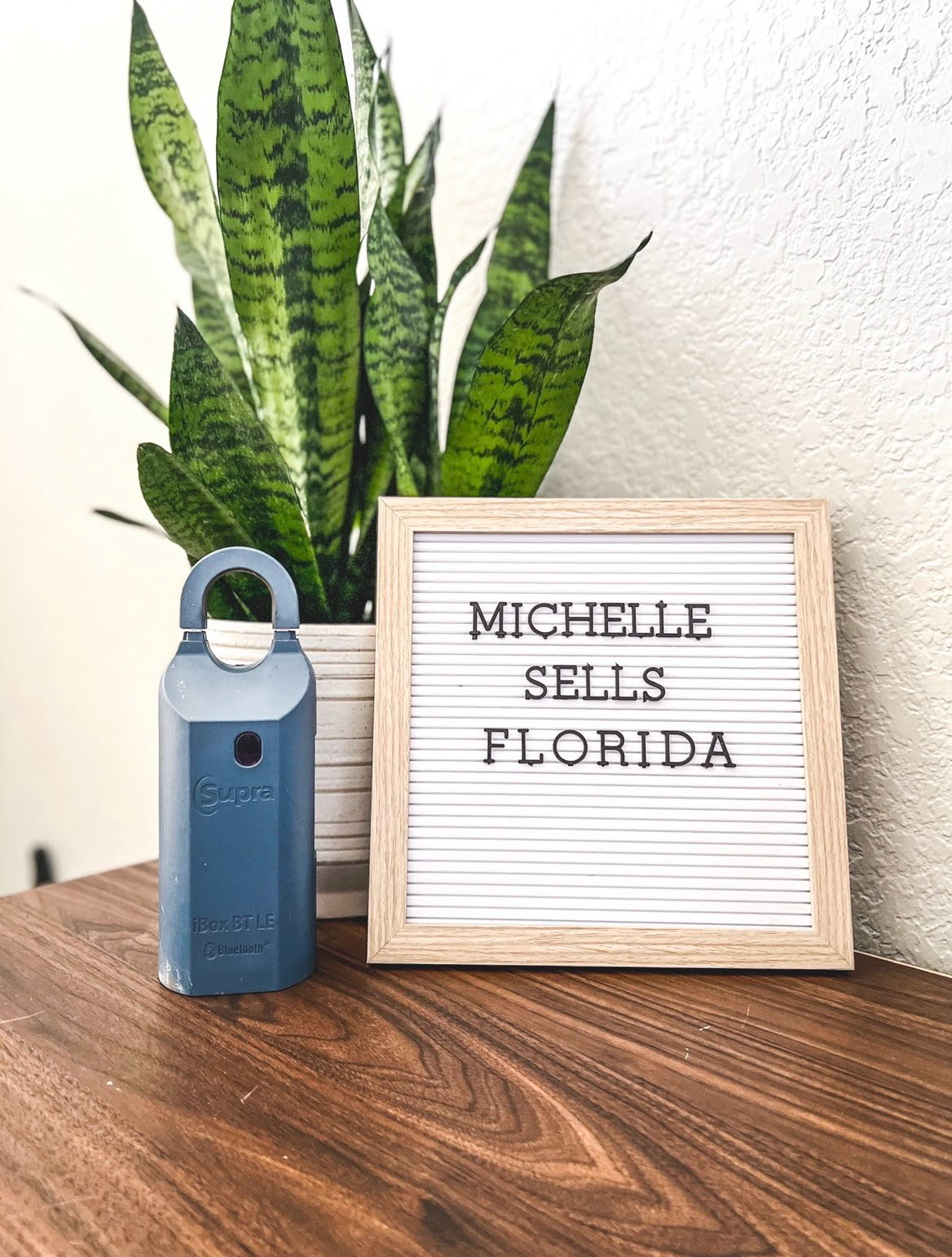 Michelle Hill Lecanto Realtor