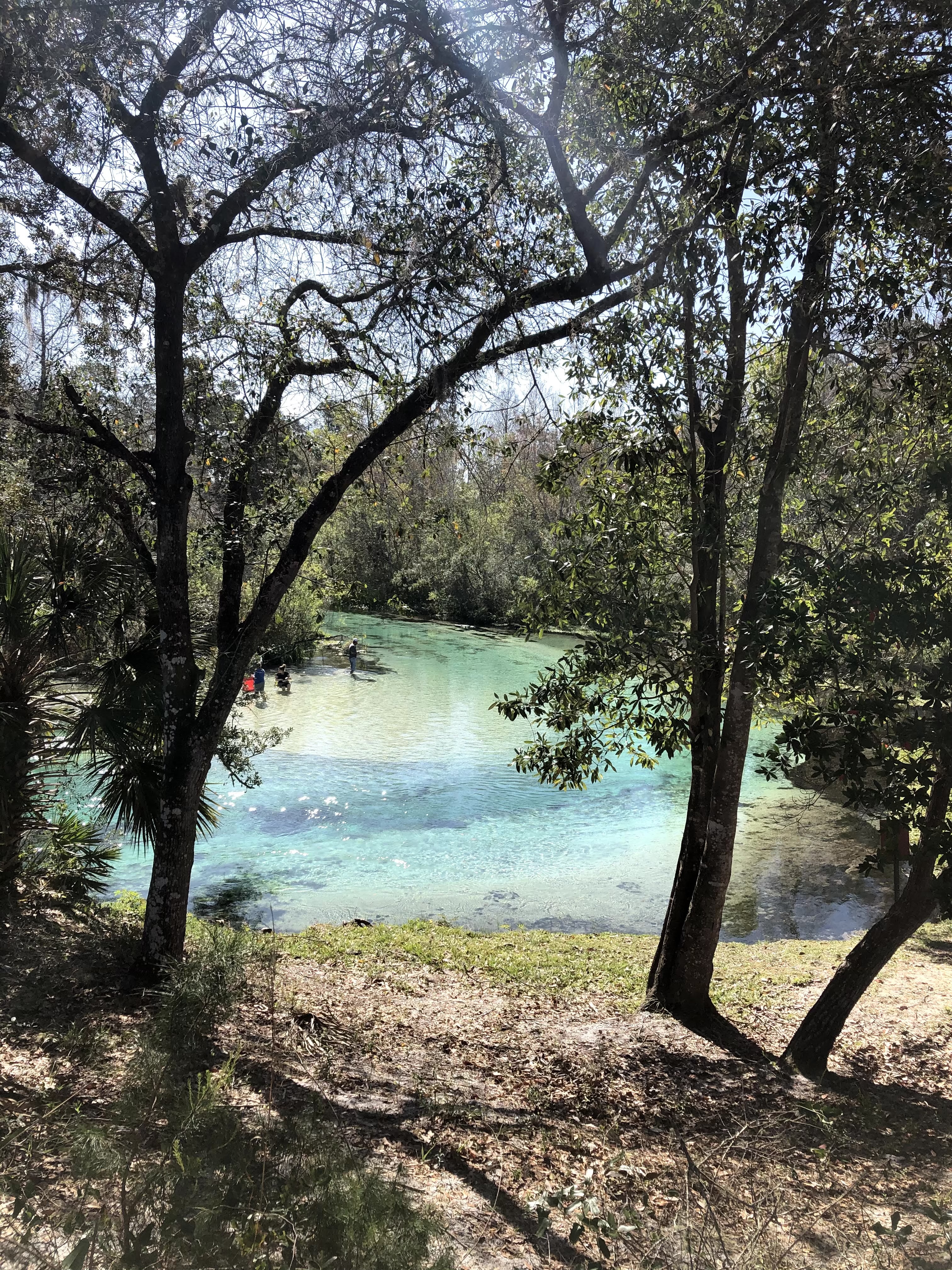 Weeki Wachee Springs Florida